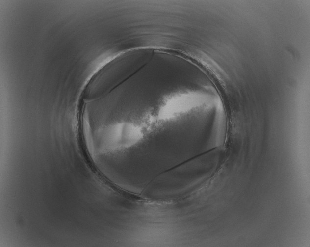 X0000116421077200912291844