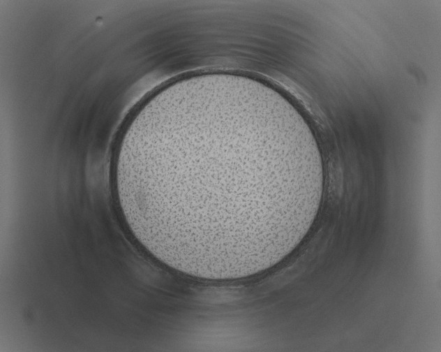 X0000116421078200912291844