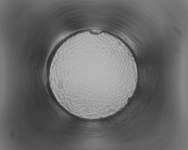 X0000116421080200912291844