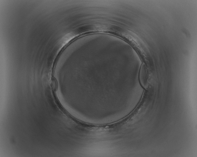 X0000116421081200912291844