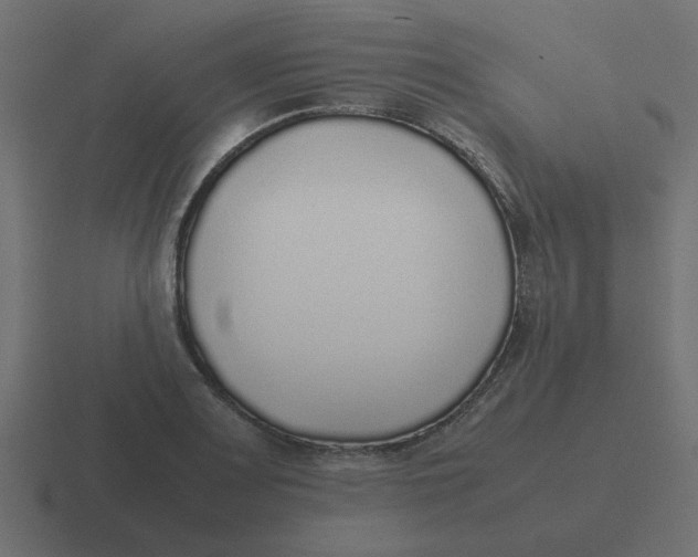 X0000116421083200912291844