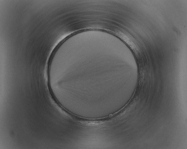 X0000116421084200912291844