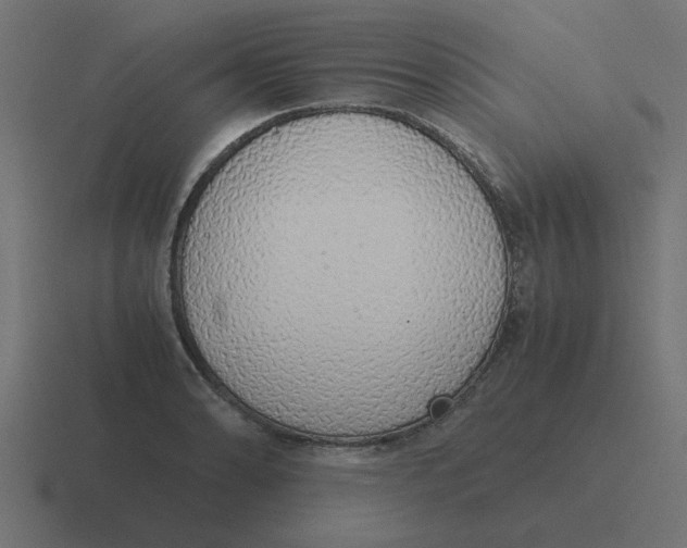 X0000116421086200912291844