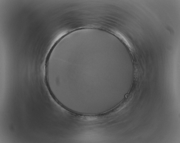 X0000116421095200912291844