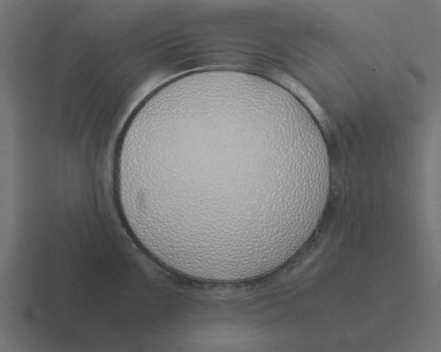 X0000116421099200912291844