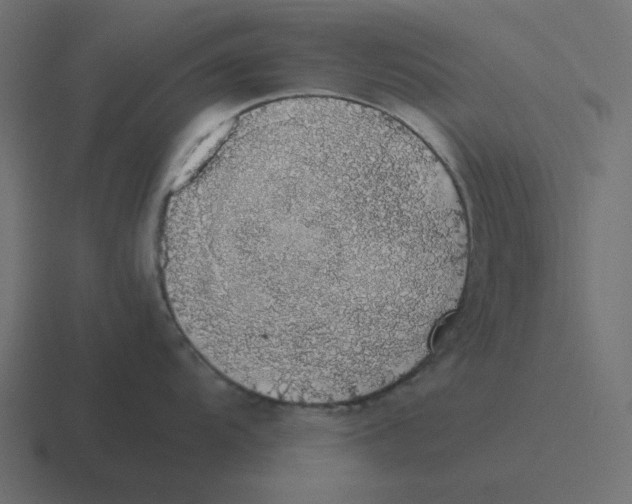 X0000116421104200912291844