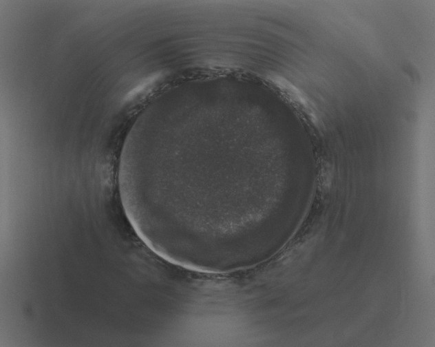 X0000116421110200912291843