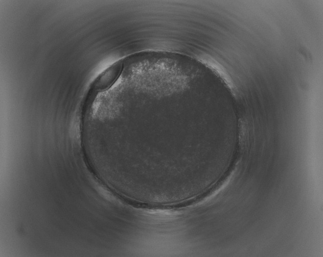 X0000116421114200912291843