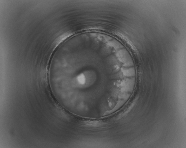 X0000116421121200912291843