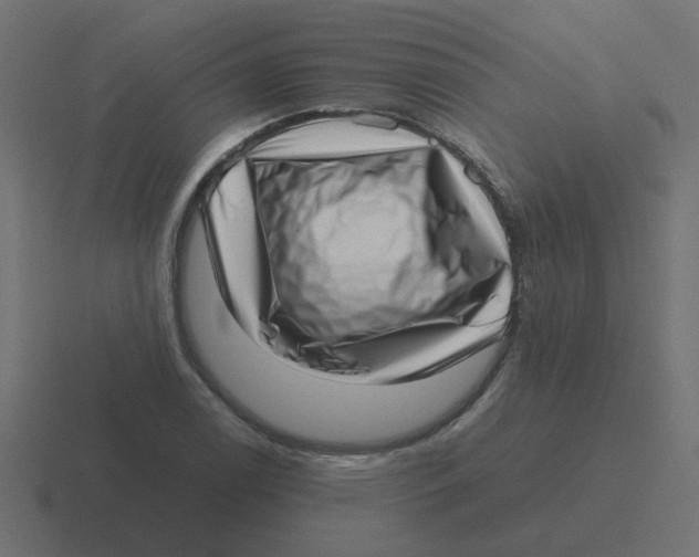X0000116421122200912291843