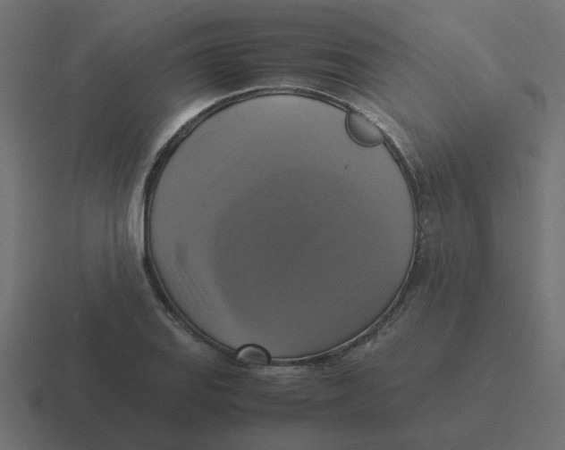 X0000116421127200912291843