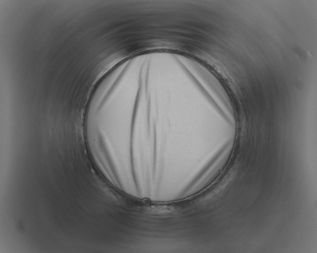 X0000116421137200912291844