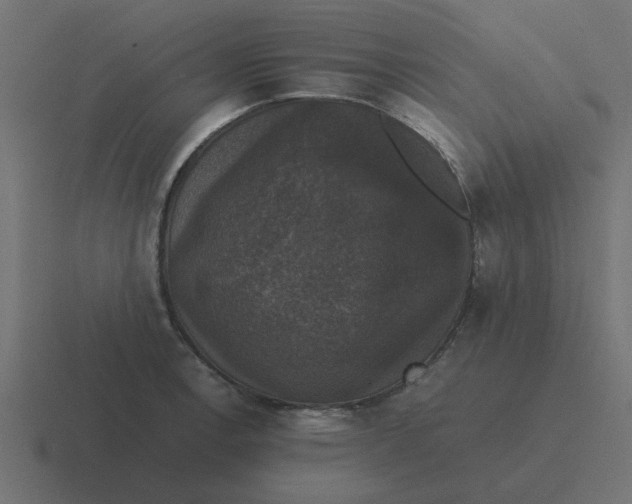 X0000116421138200912291844