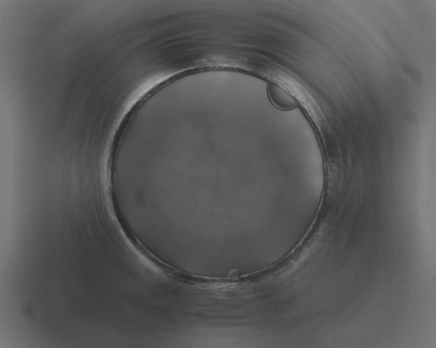 X0000116421141200912291844