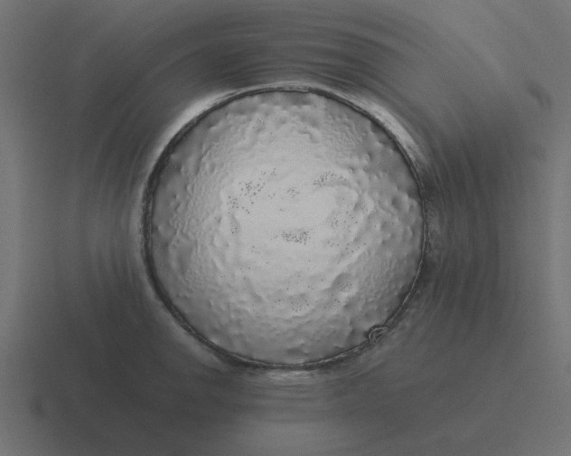X0000116421142200912291844