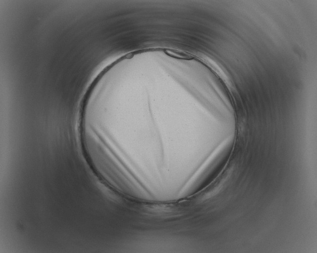 X0000116421149200912291844