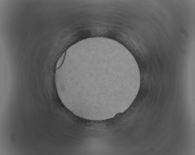 X0000116421153200912291843