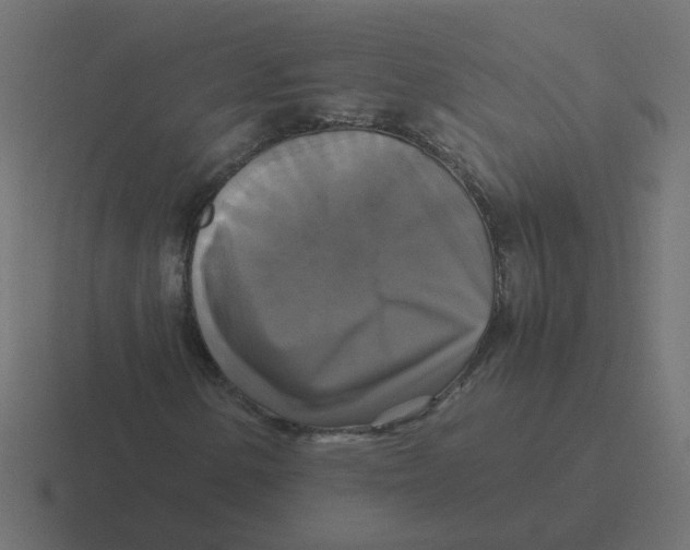 X0000116421154200912291843