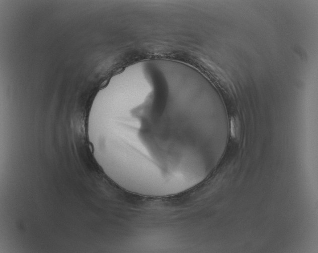 X0000116421155200912291843