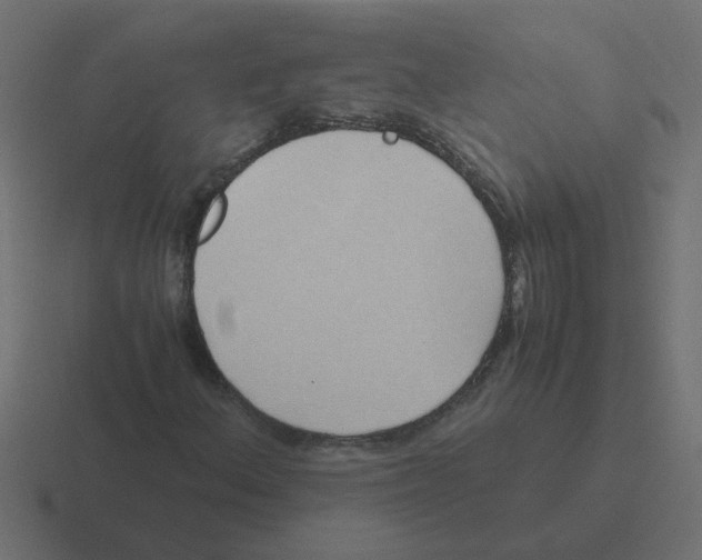 X0000116421156200912291843