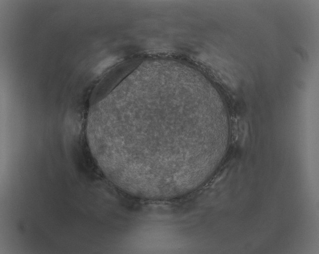 X0000116421157200912291843