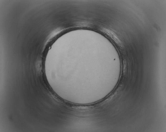 X0000116421164200912291843