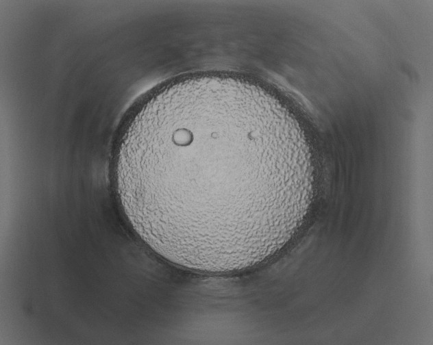 X0000116421166200912291843