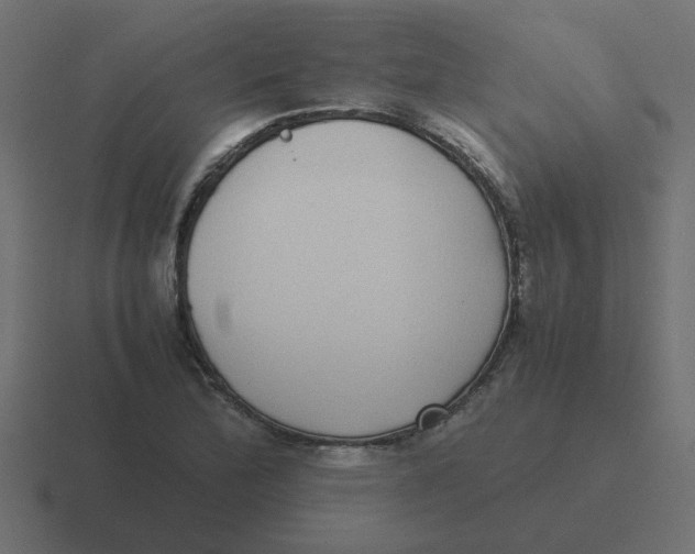 X0000116421172200912291843