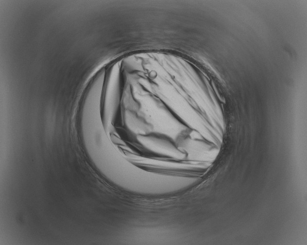 X0000116421173200912291843