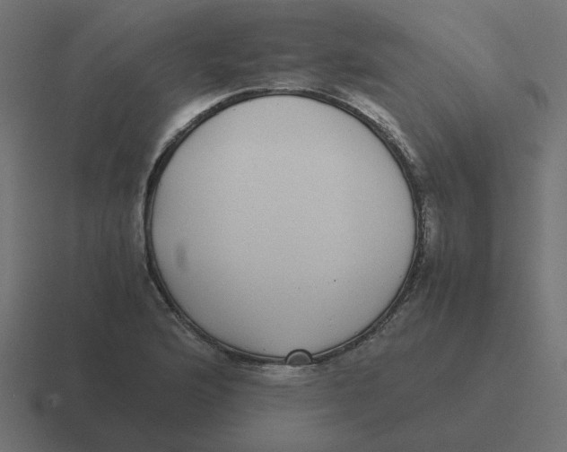 X0000116421176200912291843