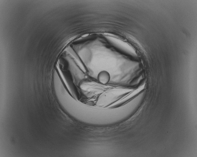 X0000116421177200912291843