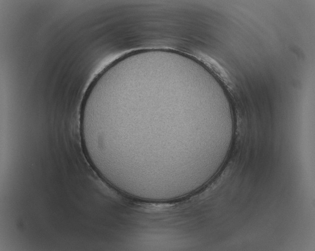 X0000116421184200912291843