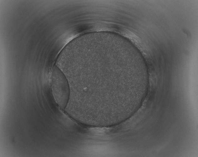X0000116421185200912291843