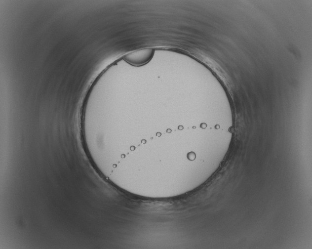 X0000116421187200912291843