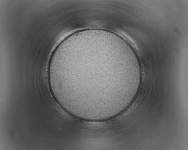 X0000116421192200912291843