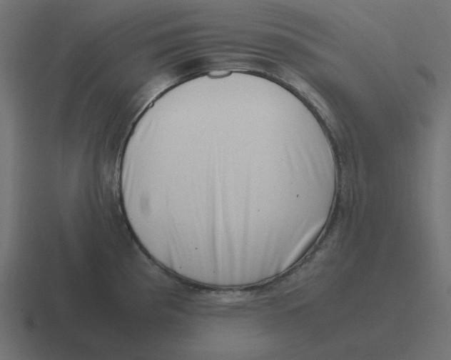 X0000116421193200912291842