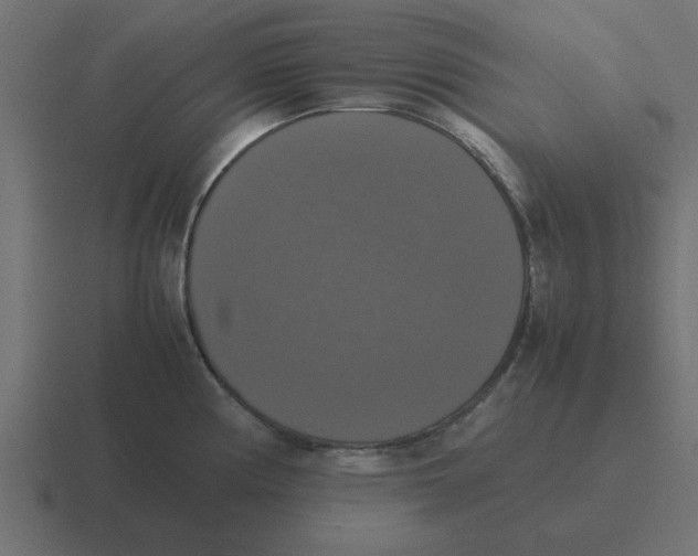 X0000116421194200912291842