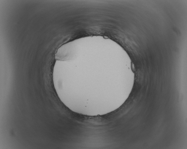 X0000116421201200912291842