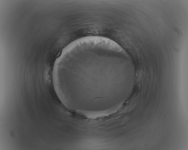X0000116421202200912291842