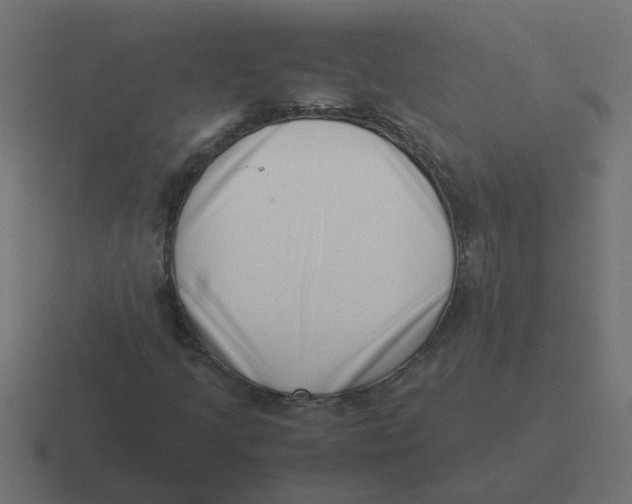X0000116421205200912291842