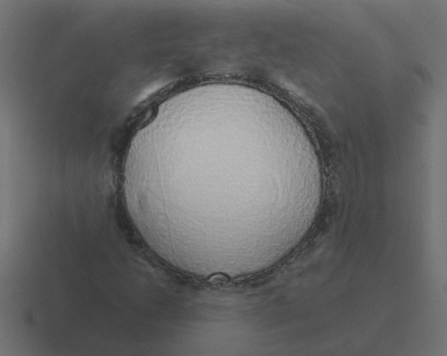 X0000116421206200912291842