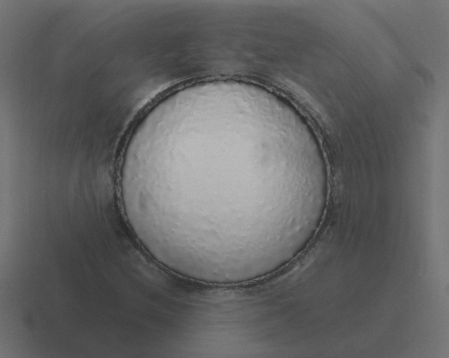 X0000116421212200912291842