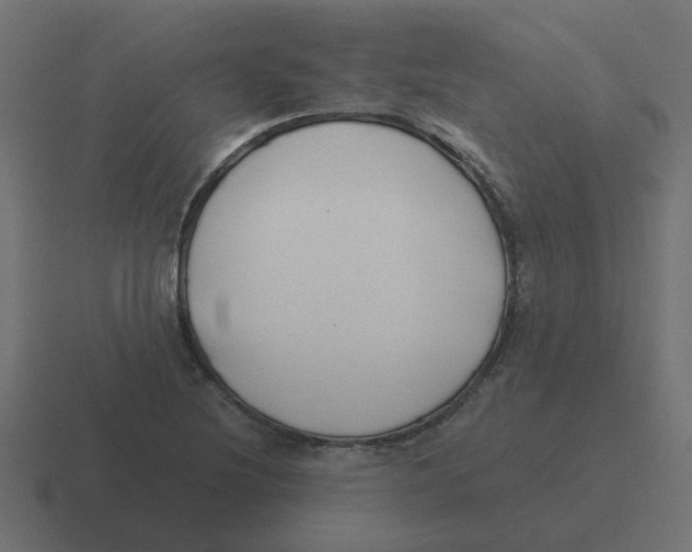 X0000116421220200912291842