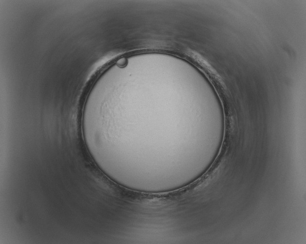X0000116421222200912291842