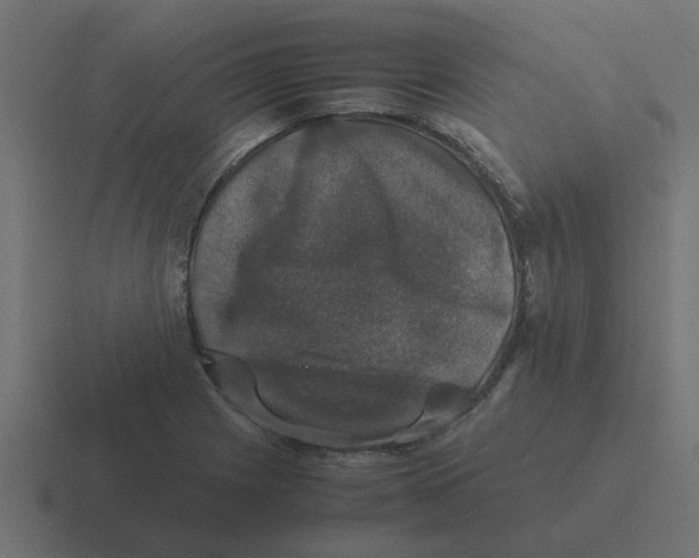 X0000116421225200912291842