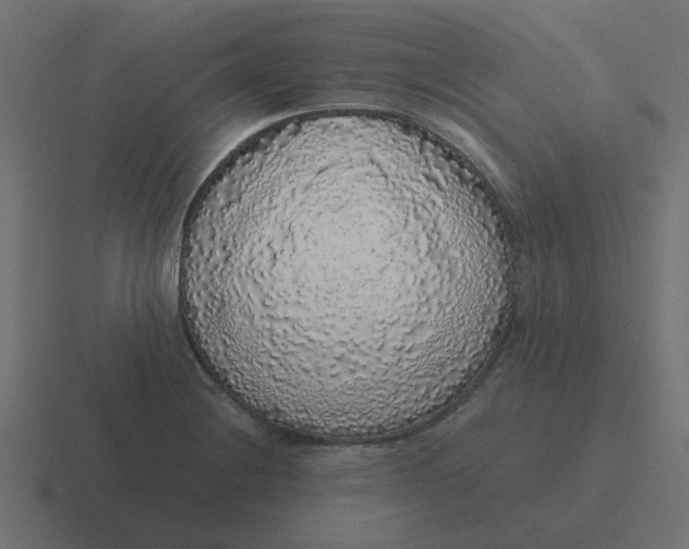 X0000116421228200912291842