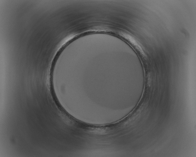 X0000116421229200912291842