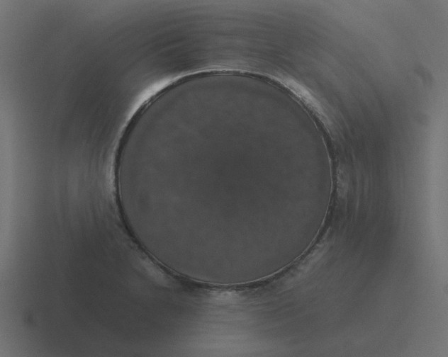 X0000116421230200912291842