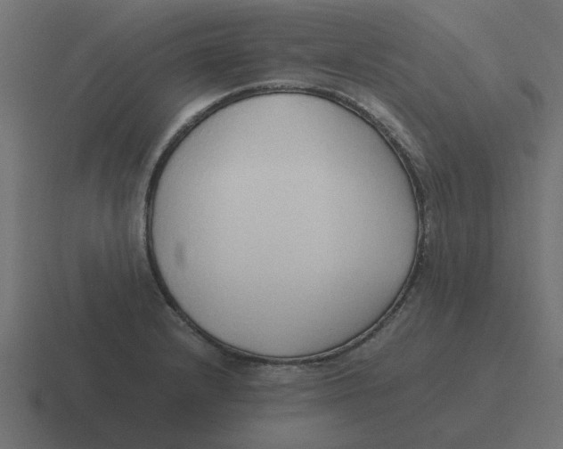 X0000116421232200912291842