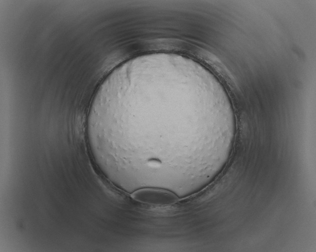 X0000116421233200912291842